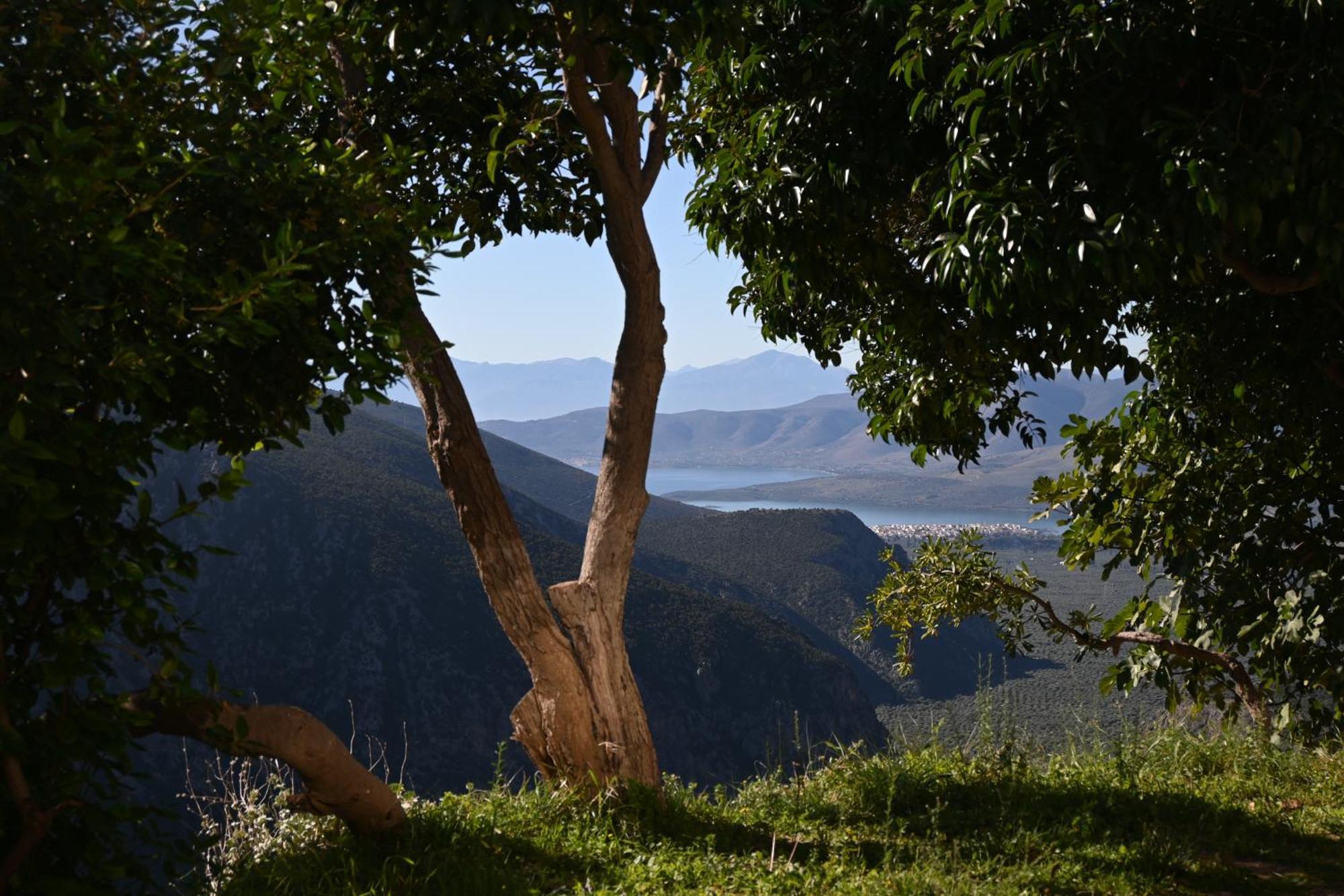 Komody Delphi ภายนอก รูปภาพ